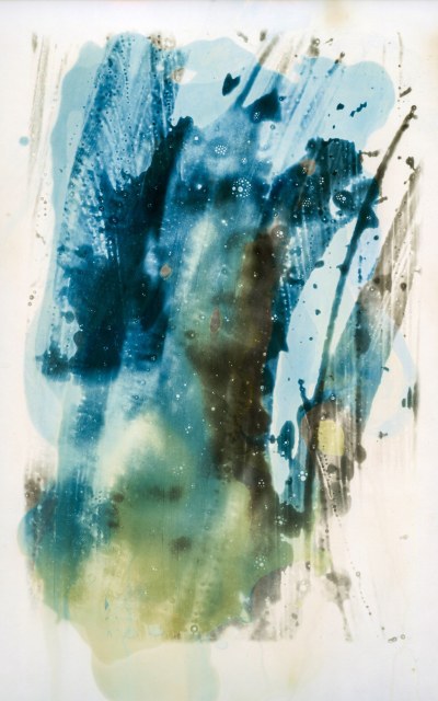 © François Vannière