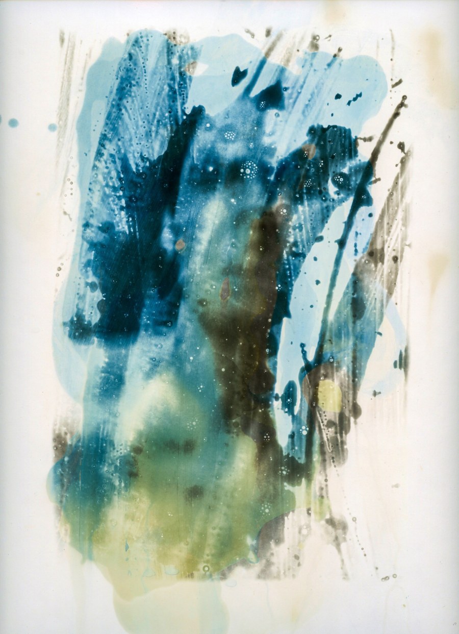 © François Vannière